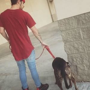 Meet your Posher, Austin